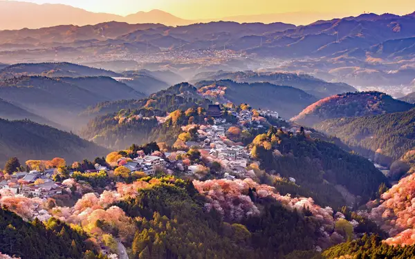 Photo by 壁纸迷