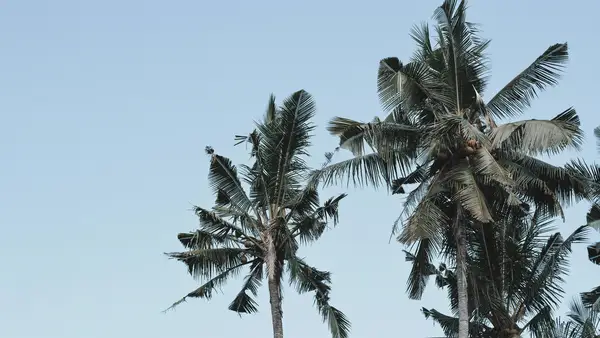 Photo by 壁纸迷