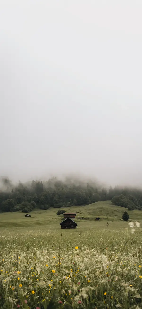 Photo by 壁纸迷