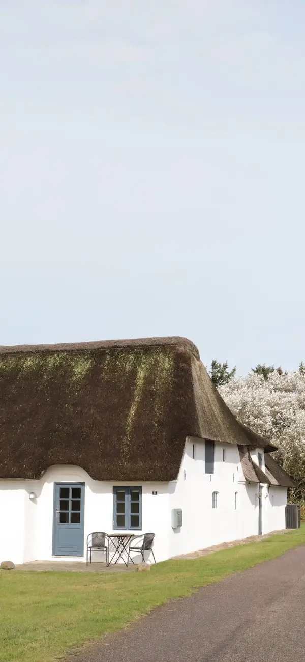 Photo by 壁纸迷