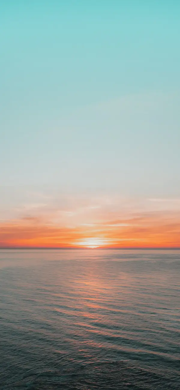 Photo by 壁纸迷