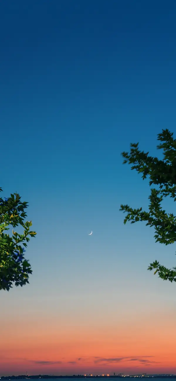Photo by 壁纸迷