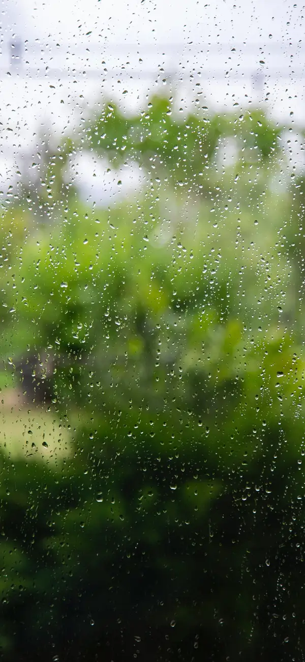 Photo by 壁纸迷