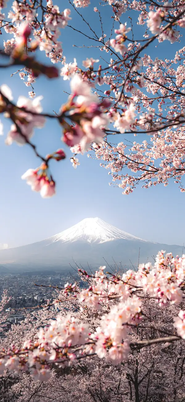 Photo by 壁纸迷