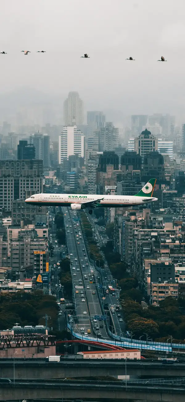 Photo by 壁纸迷