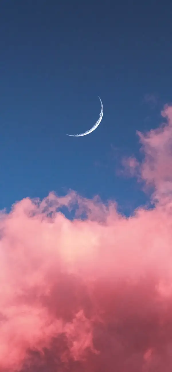 Photo by 壁纸迷